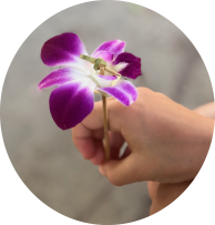 Dr. Tanya Elez, Registered Psychologist and Associates